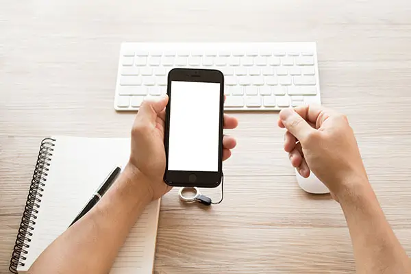 骡字表达什么含义